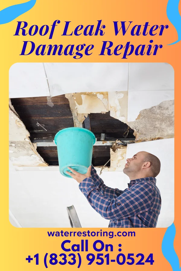 Roof Leak Water Damage Repair in Flasher, ND