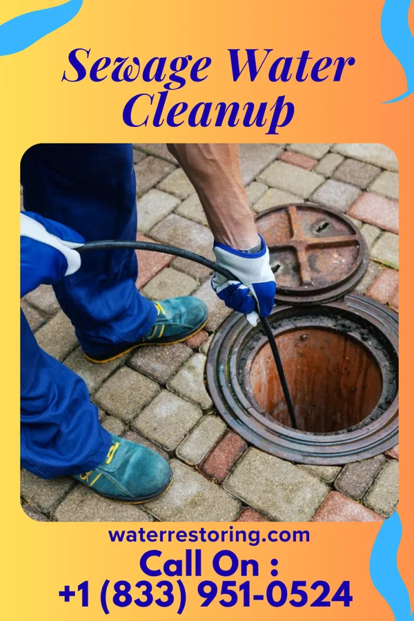 Sewage Water Cleanup in Flasher, ND